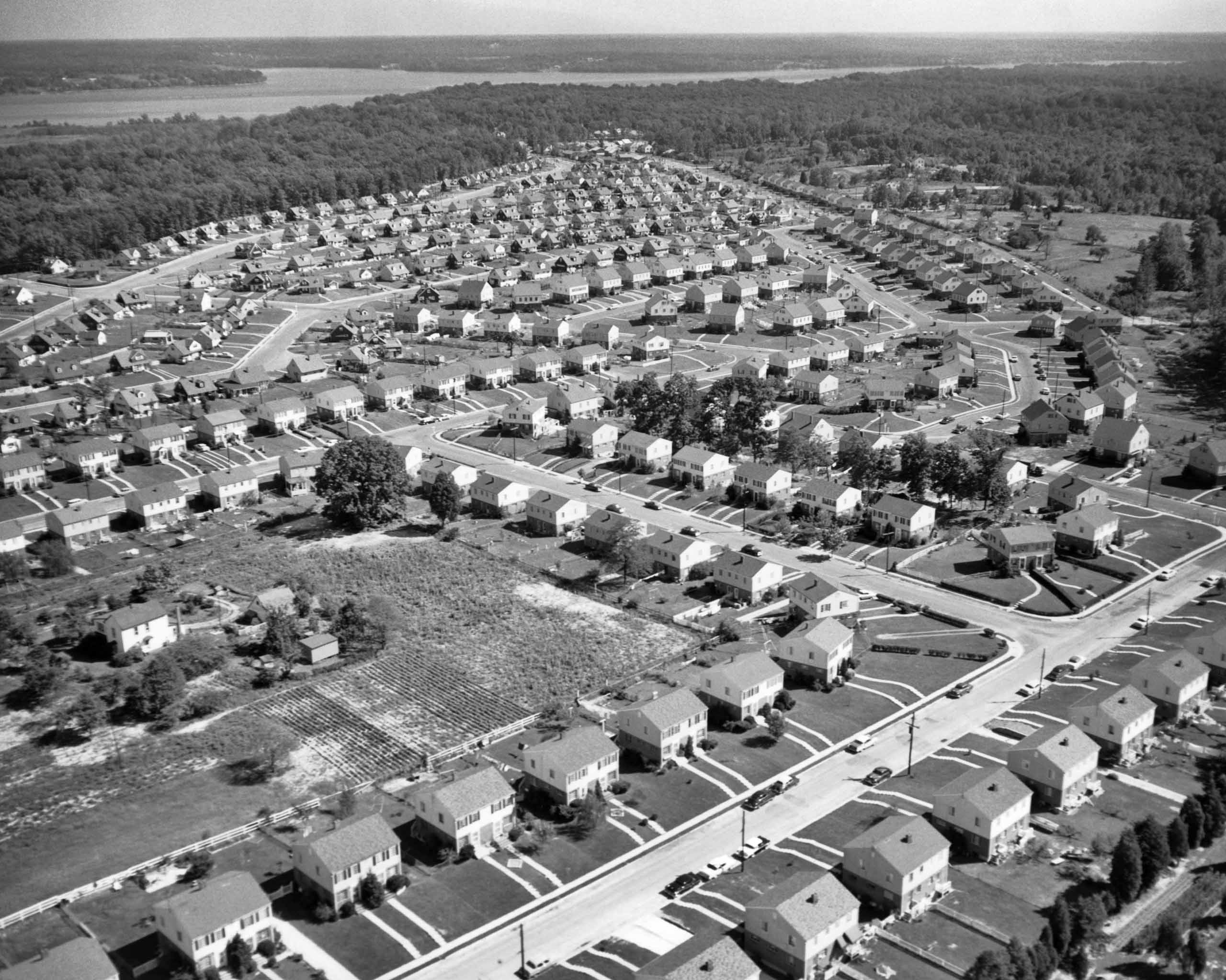 An aerial photo shows a large suburban development consisting of hundreds of similar houses with manicured lawns arranged along winding streets and cul-de-sacs (© Heilman/Classicstock/Getty Images)