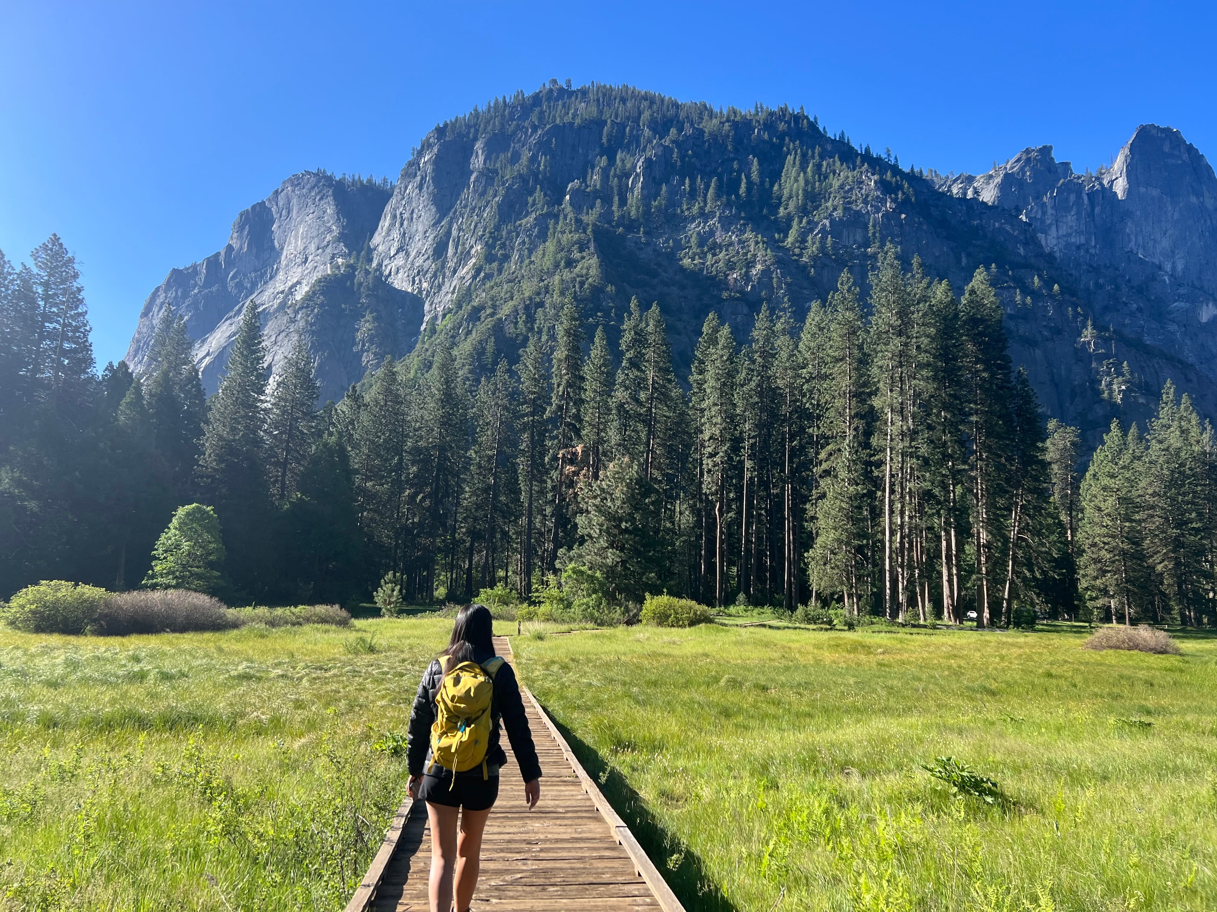 Hiker with backpack walking wooden path toward pine-covered mountains (© summer.cloud/Shutterstock.com)