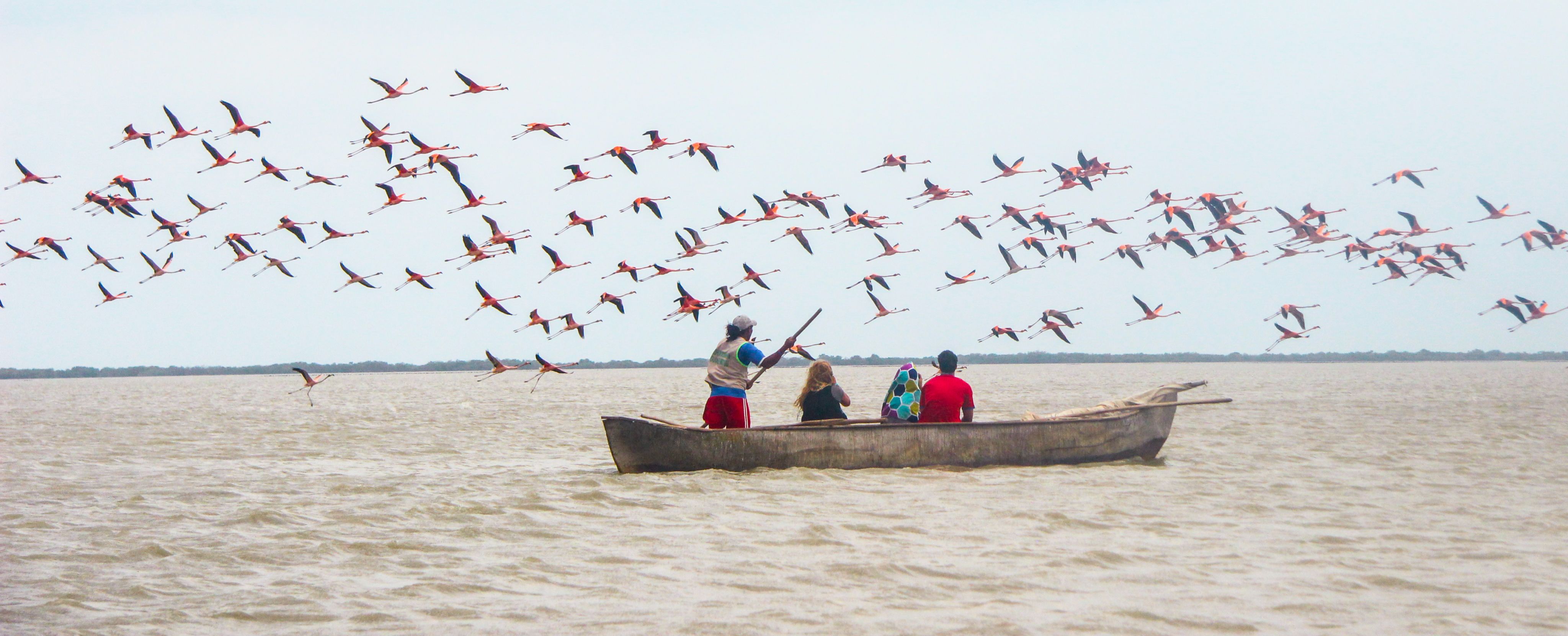 Observación de flamencos en un bote en un día nublado en la Guajira, Colombia, el 16 de abril de 2017.