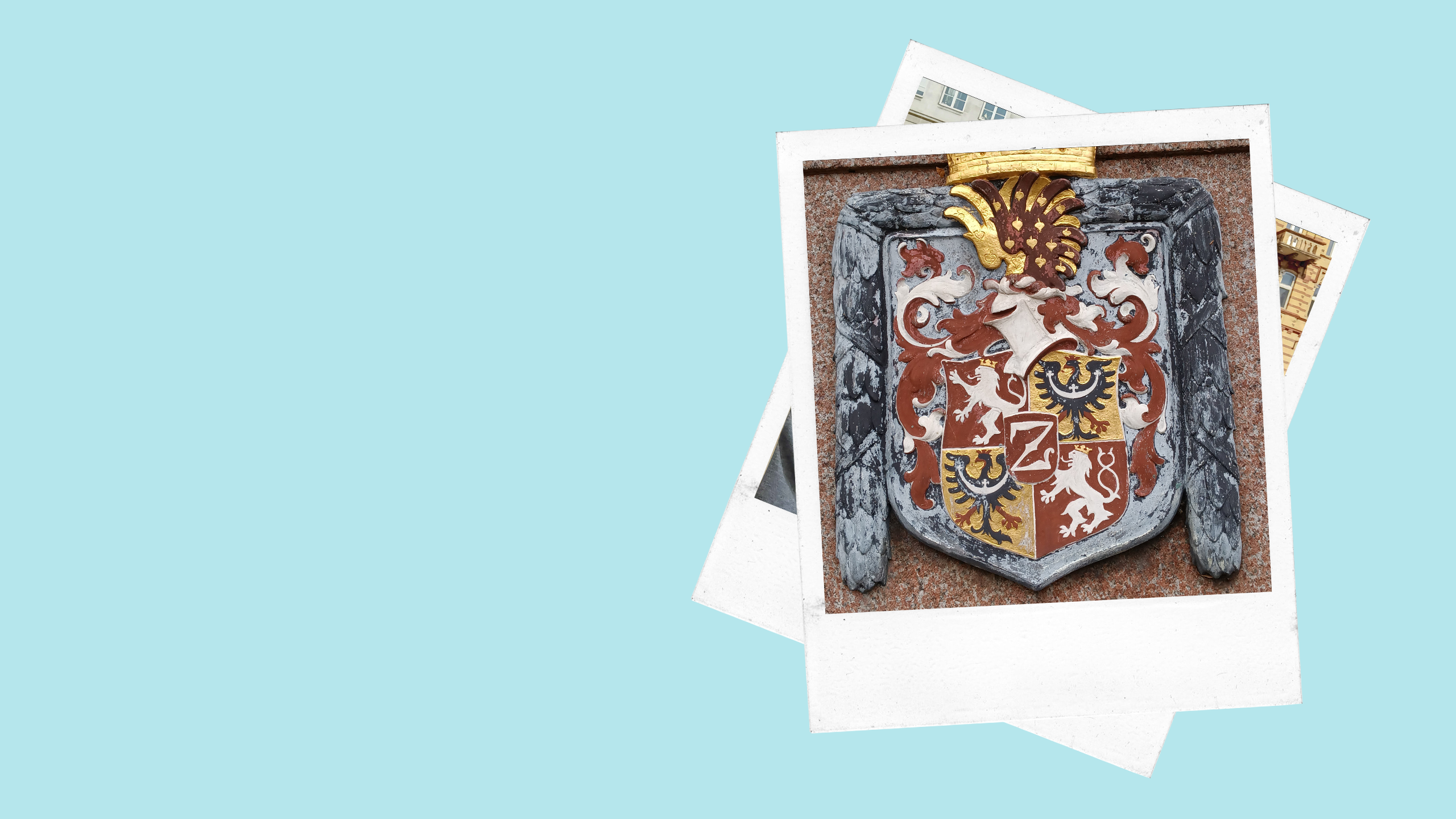 a coat of arms