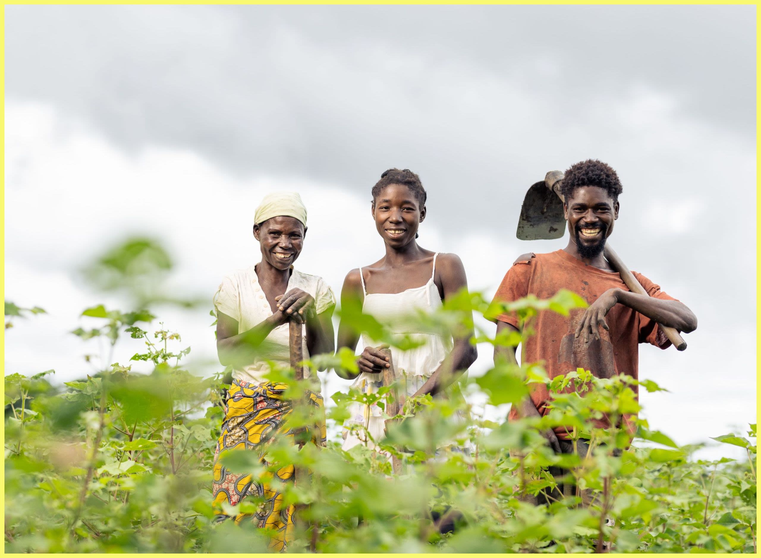 Smiling people in a cotton field (Courtesy of The Carrinho Group)