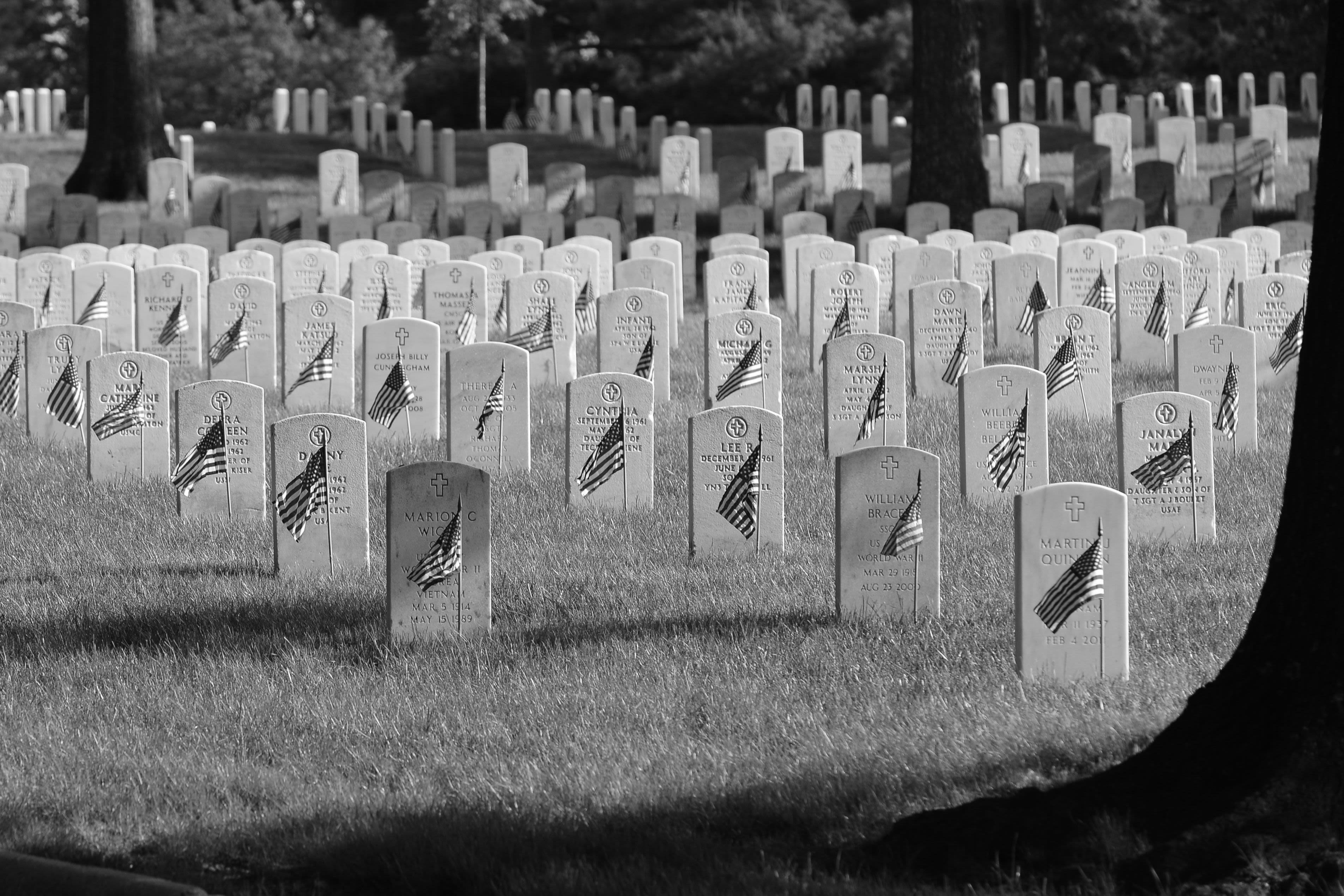 U.S. flags adorn headstones at Arlington National Cemetery (© Shutterstock.com/Orhan Cam)