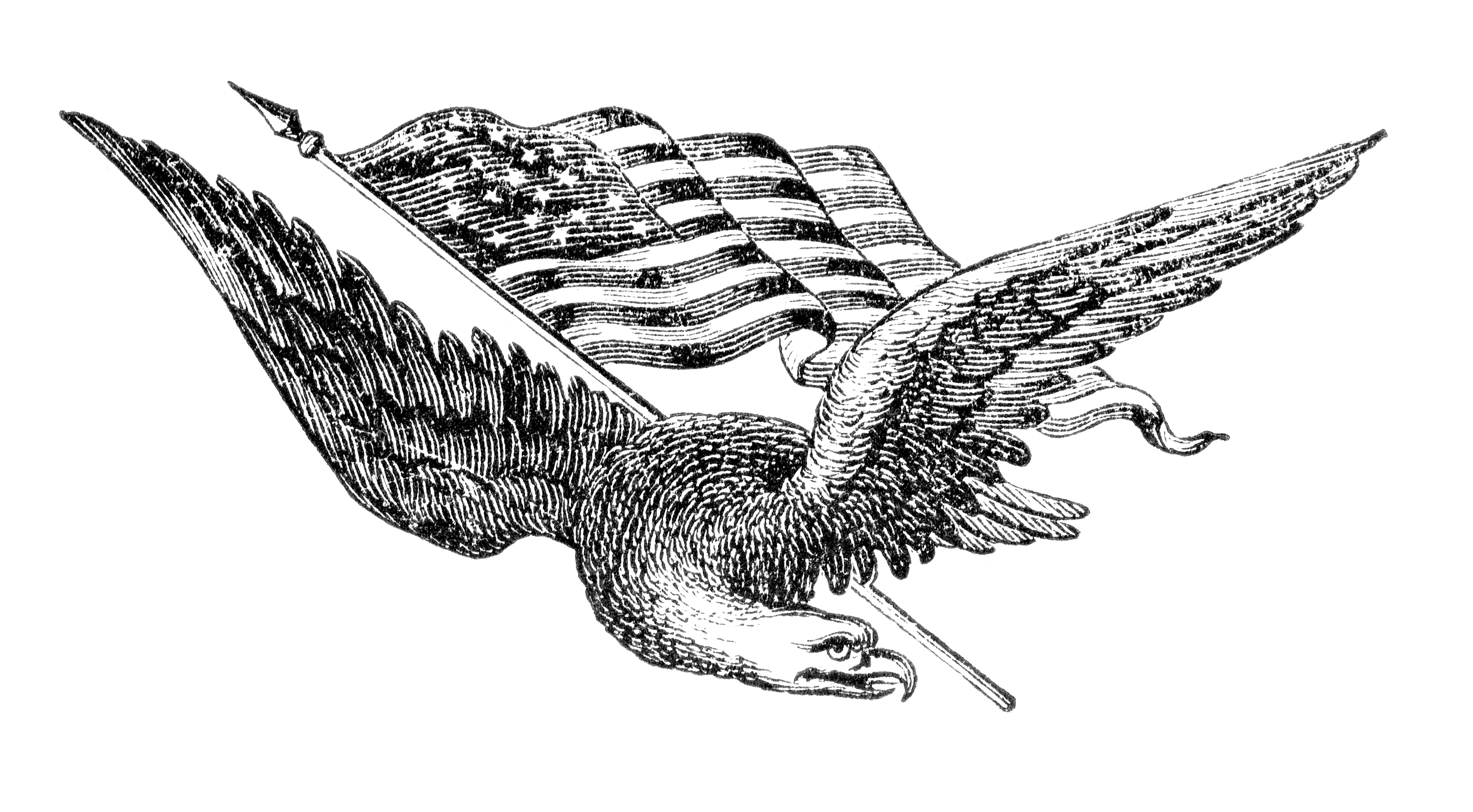 Illustration of a bald eagle and an American flag (© Stocksnapper/Shutterstock.com)