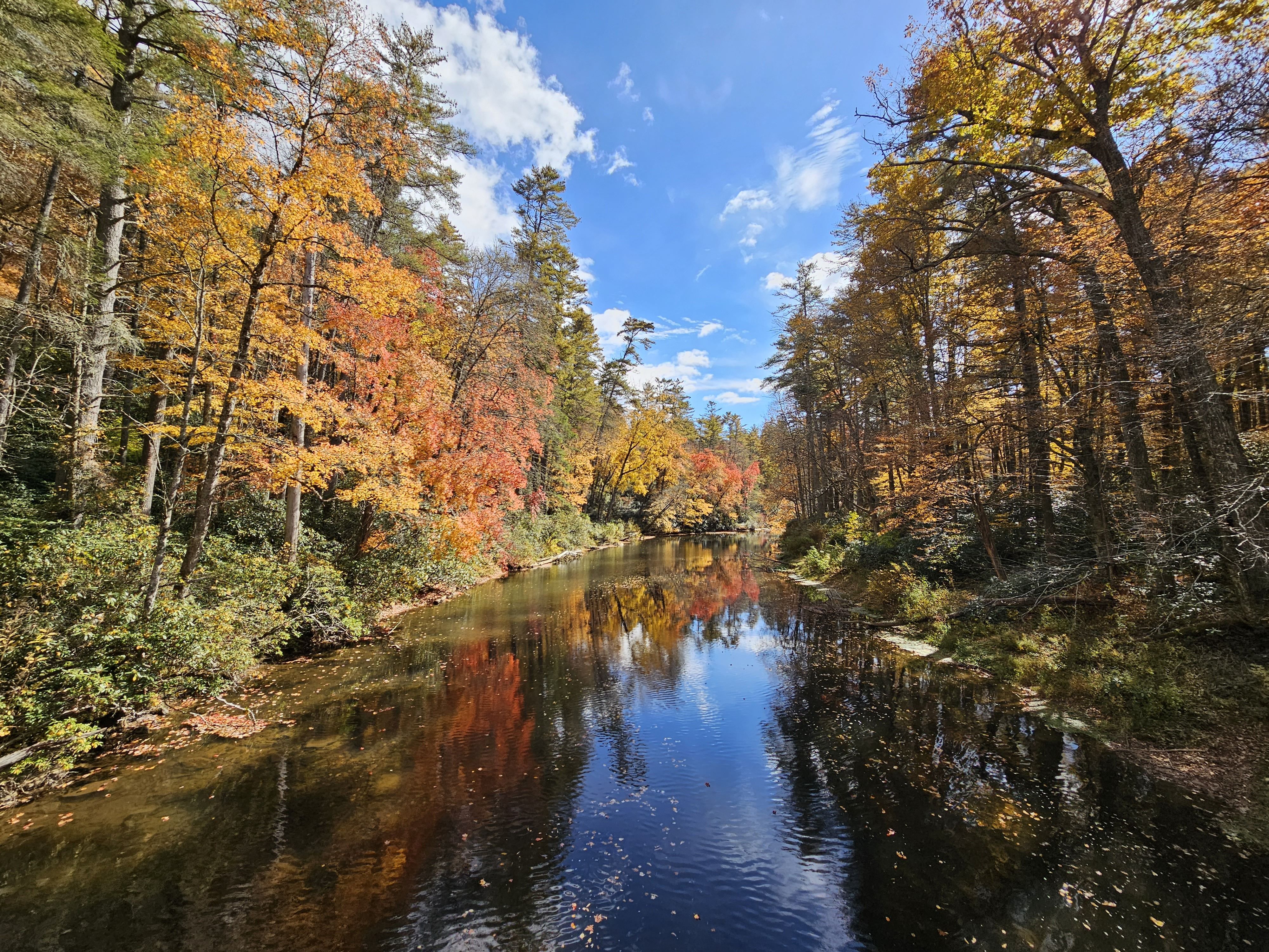 Trees reflecting in river (© Laurel Lunsford/National Park Service)