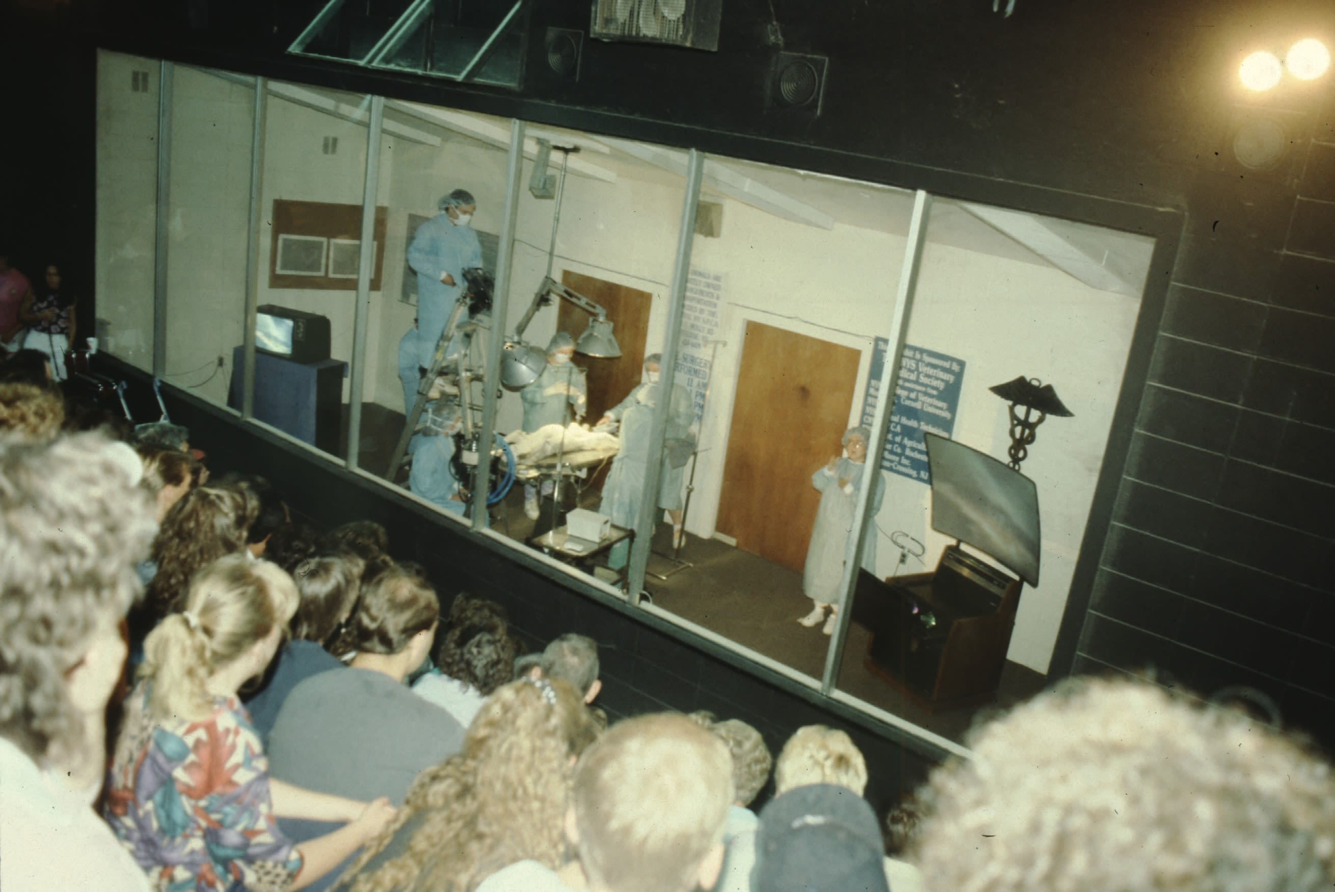 Audience watching a live surgical demonstration through a glass observation window (Courtesy of New York State Fair)