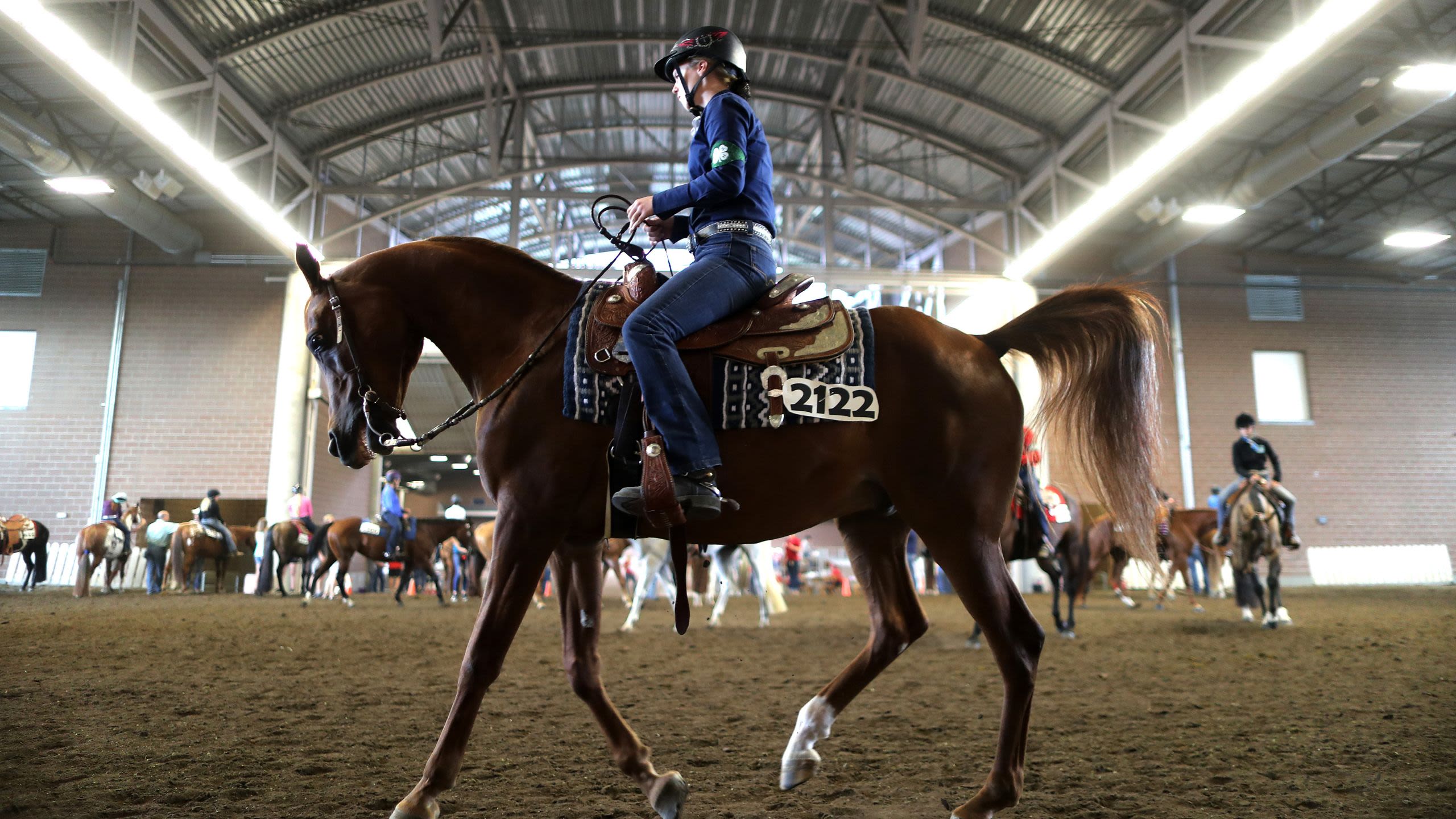 Rider on horseback competing in an indoor equestrian event (© Chip Somodevilla/Getty Images) 