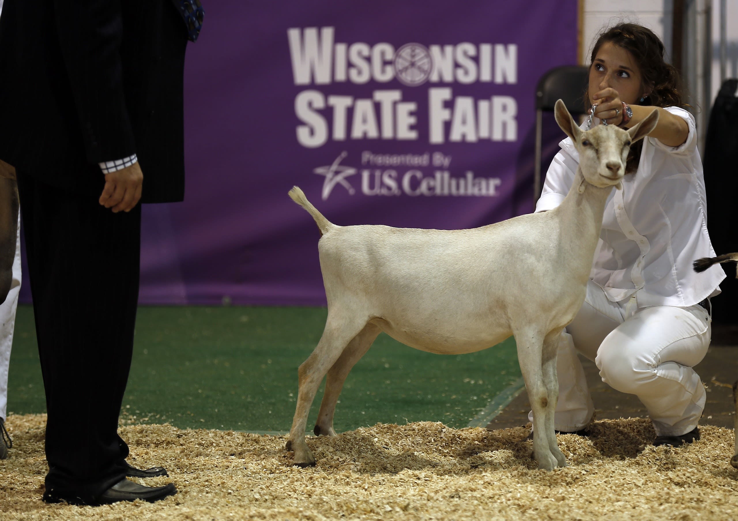 A young woman presenting a goat to a judge during a livestock competition (© Jim Young/Reuters)