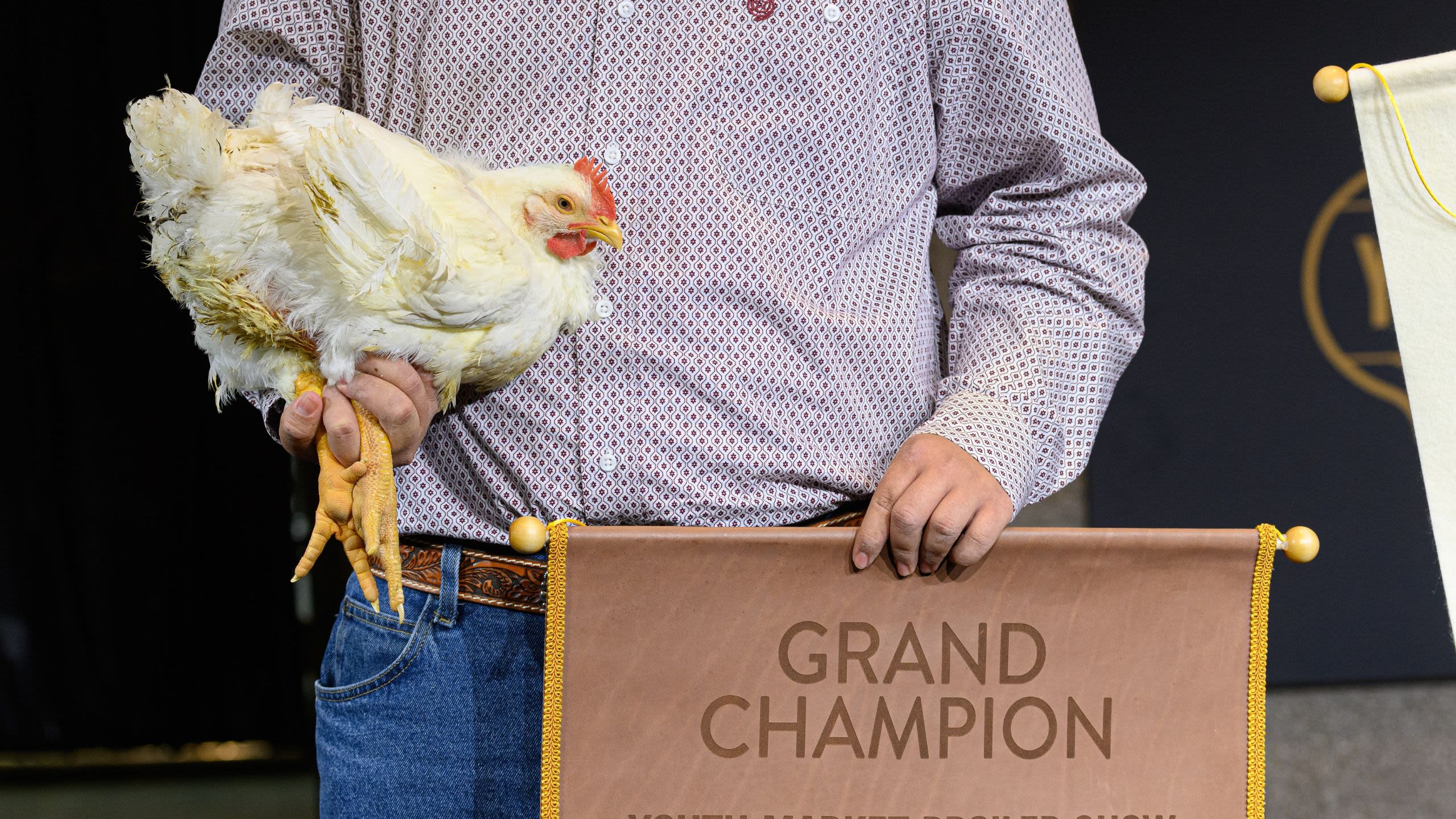 Person holding a chicken and a grand champion banner (Courtesy of State Fair of Texas)