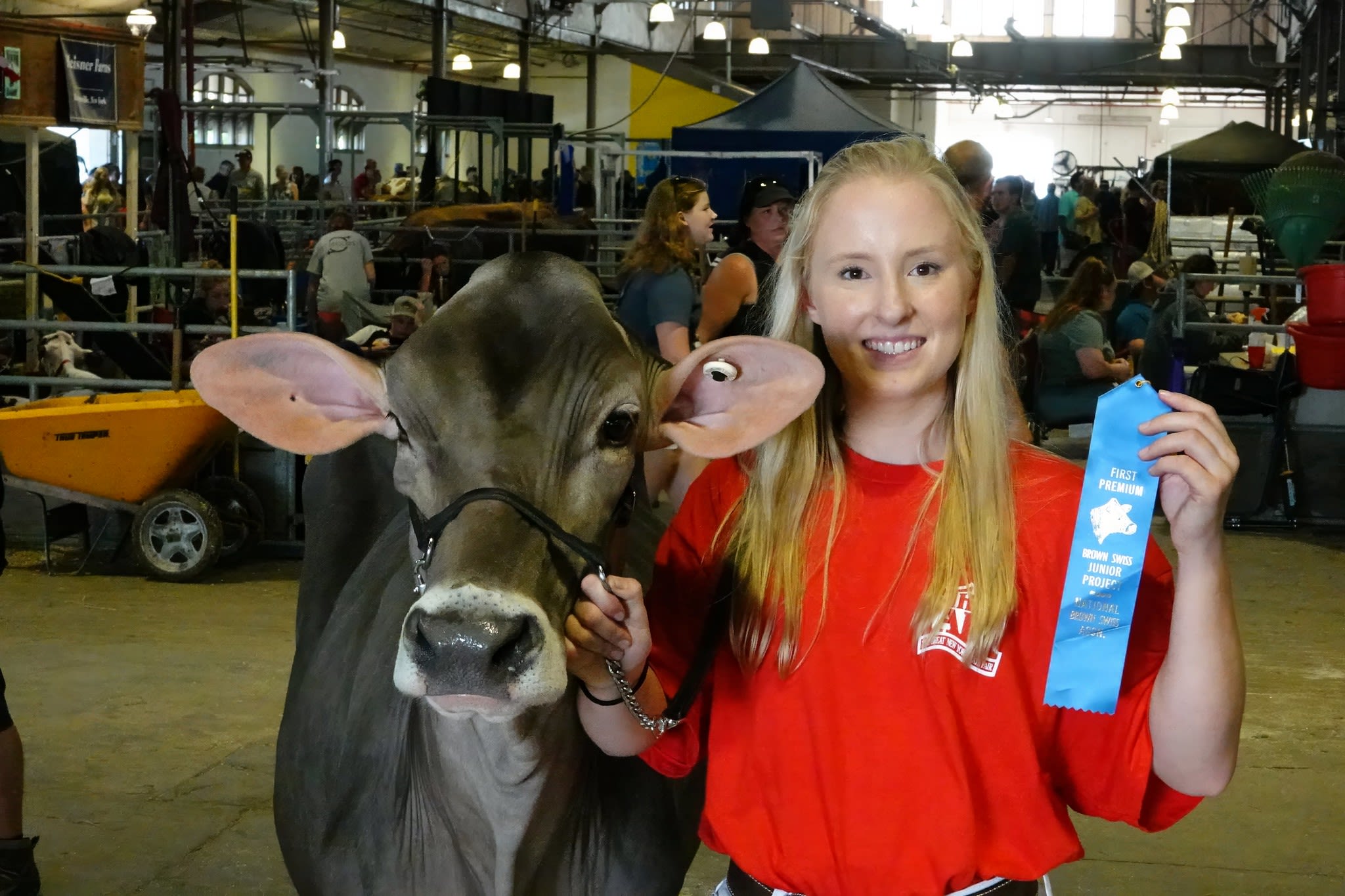 Young woman holding a first-place ribbon next to her Brown Swiss cow at a livestock show (© Michael Okoniewski/New York State Fair)