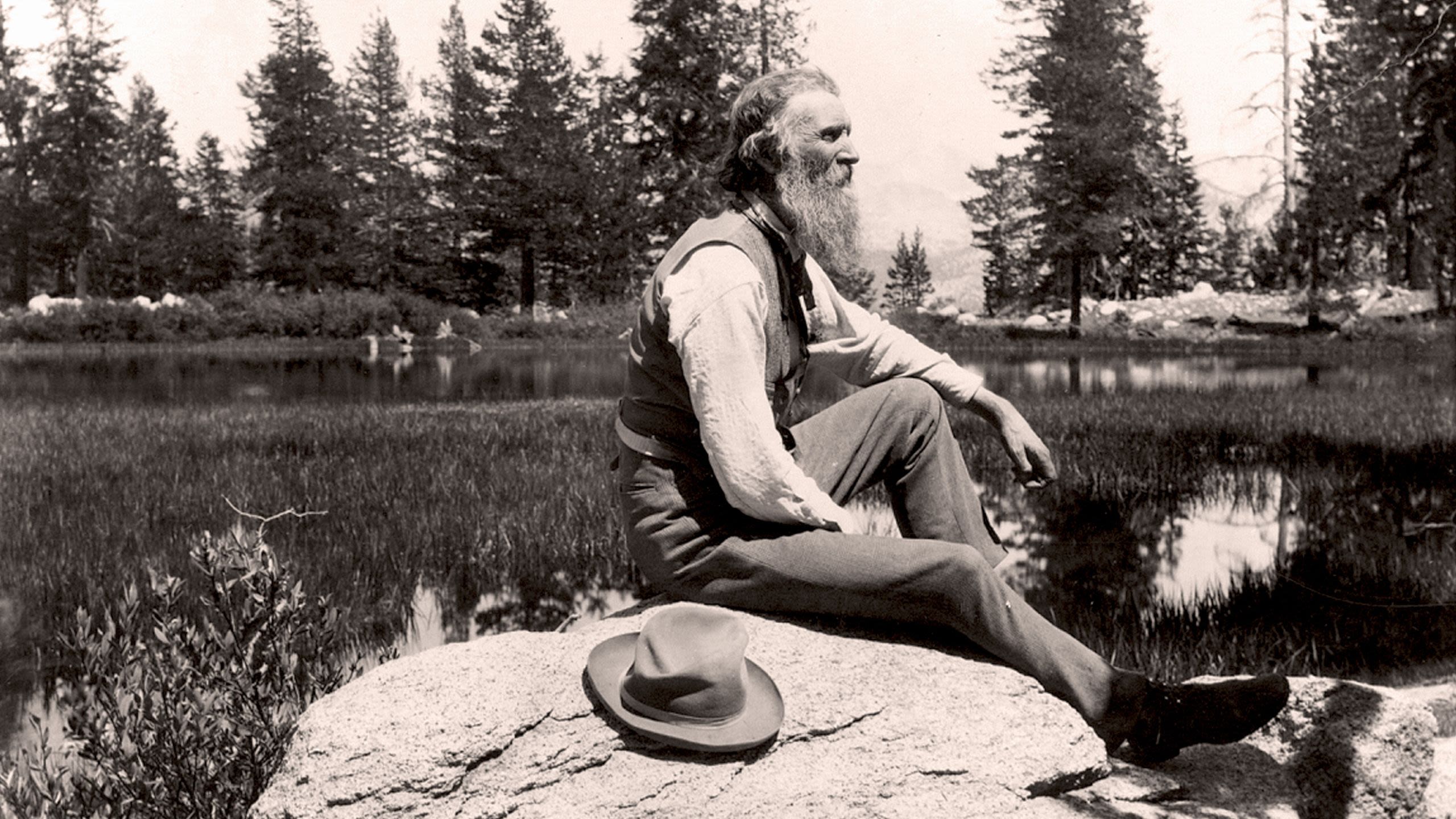 Bearded man sitting on a rock by a forest lake, gazing into the distance (© Universal History Archive/Getty Images)