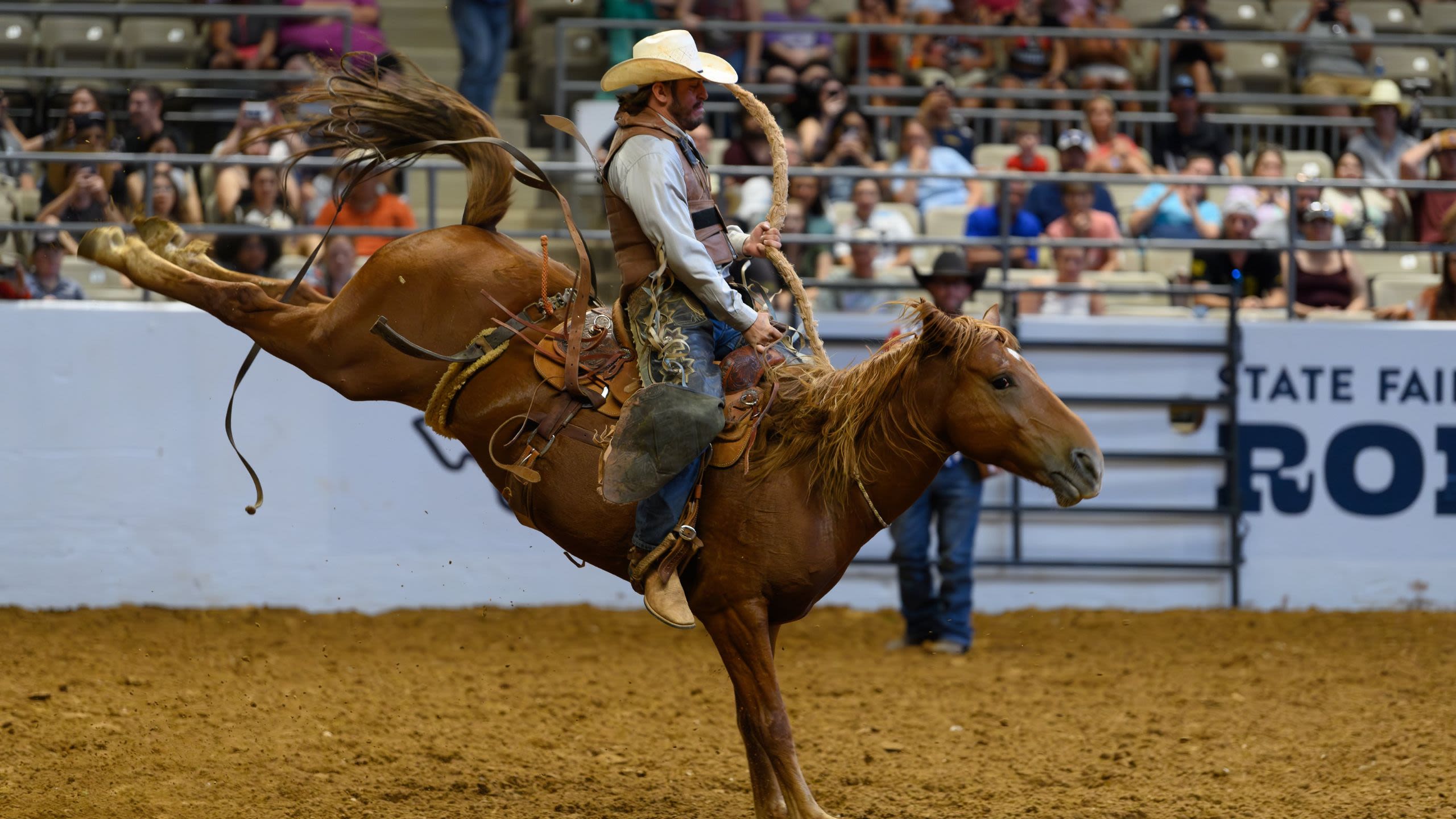 Rodeo rider holding on as a bucking horse leaps (Courtesy of State Fair of Texas) 