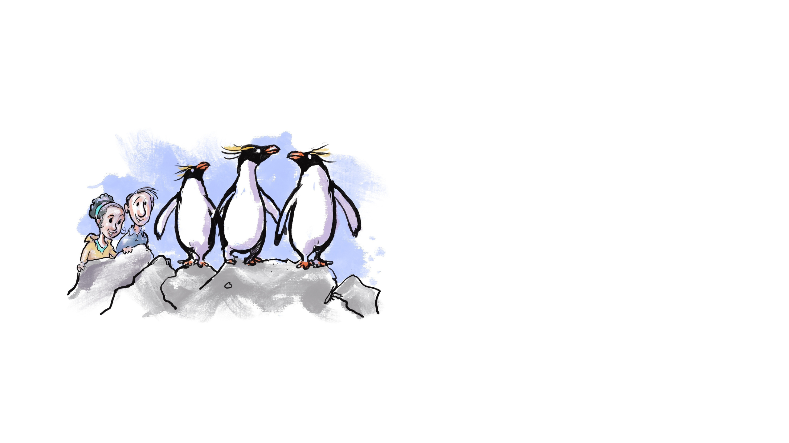 Illustration of three rockhopper penguins standing on rocks while couple watches them from nearby (State Dept./D. Thompson)