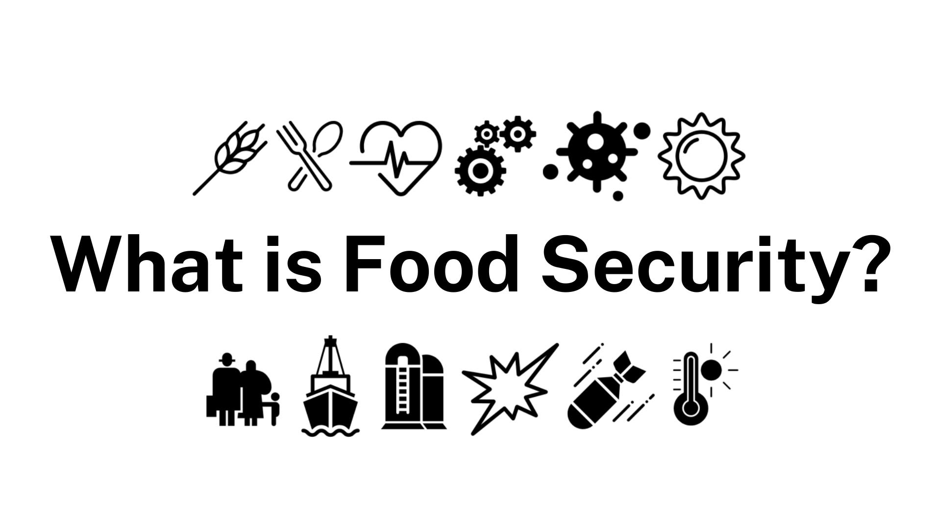 what-is-food-security