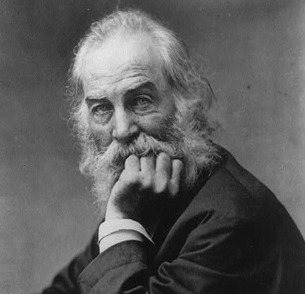 Walt Whitman, half-length portrait, seated, facing left, left hand under chin (Library of Congress/Frank Pearsall)