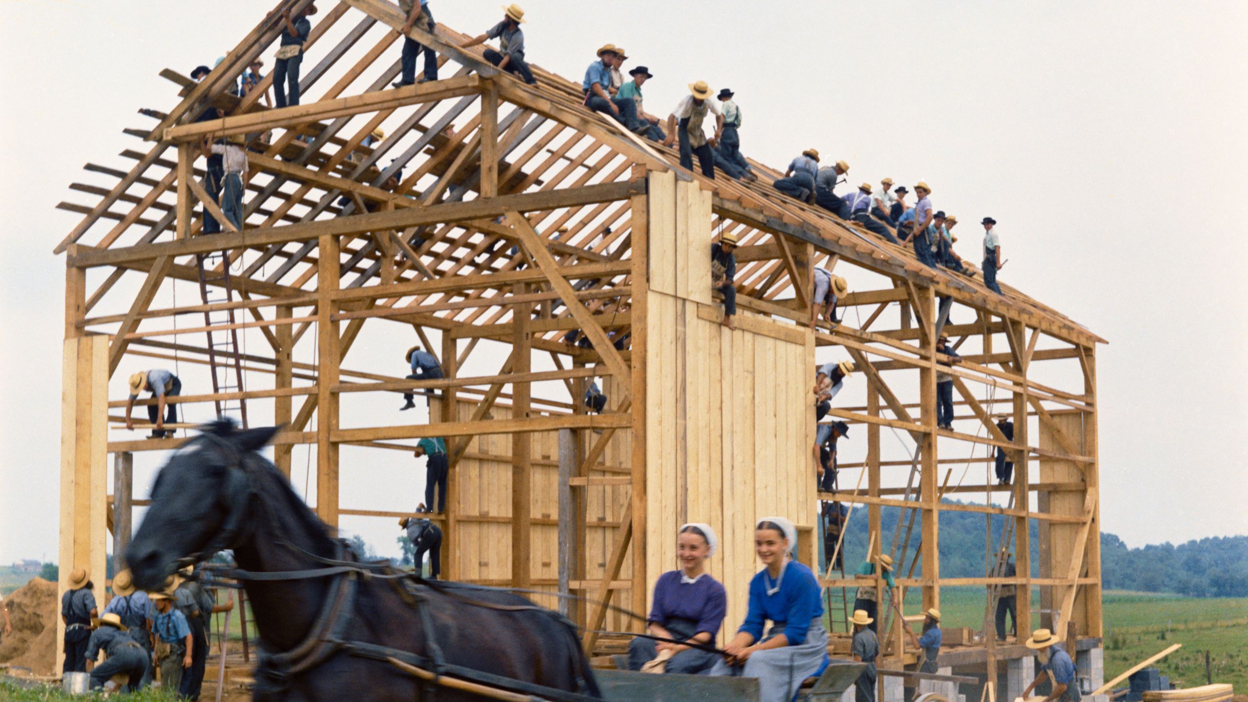 Amish barn raising with workers on frame and horse and buggy passing (© Tortora/Three Lions/Hulton Archive/Getty Images)